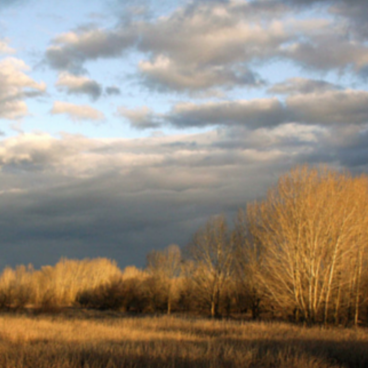 Top 5 Local Things to do in Winter in and Around Merced County