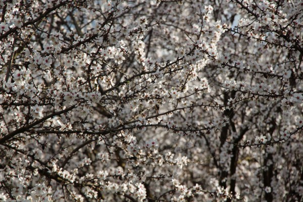  Photo by Adam Blauert 