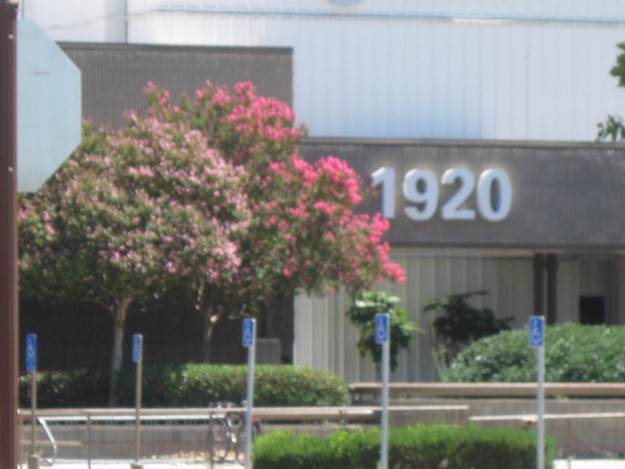 ATT photo by Steve Newvine