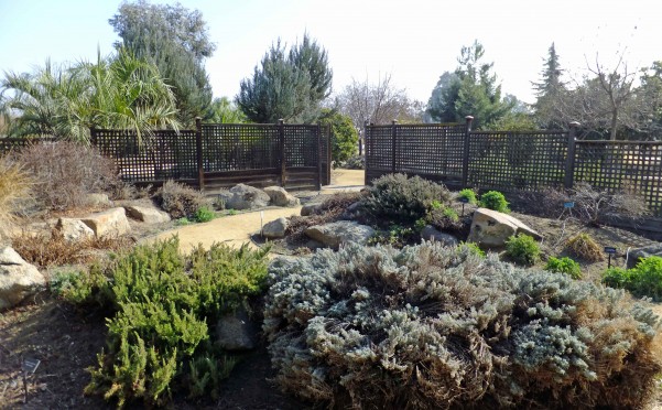  Clovis Botanical  - PHOTO BY ADAM BLAUERT 