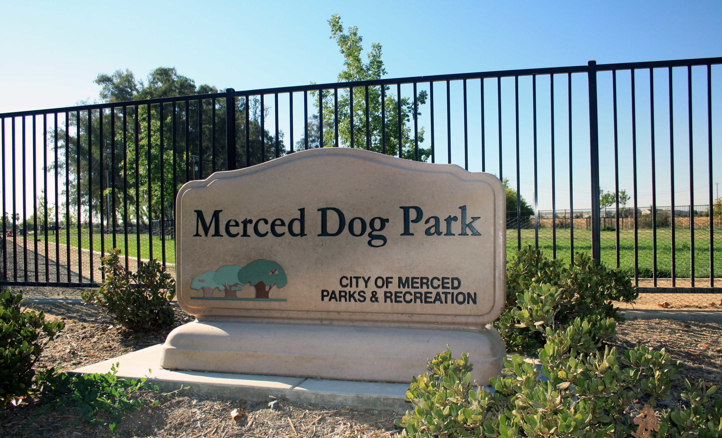 Dog Park - PHOTO BY ADAM BLAUERT