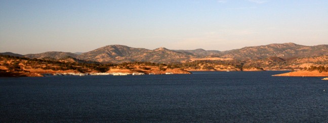 Don Pedro - PHOTO BY ADAM BLAUERT