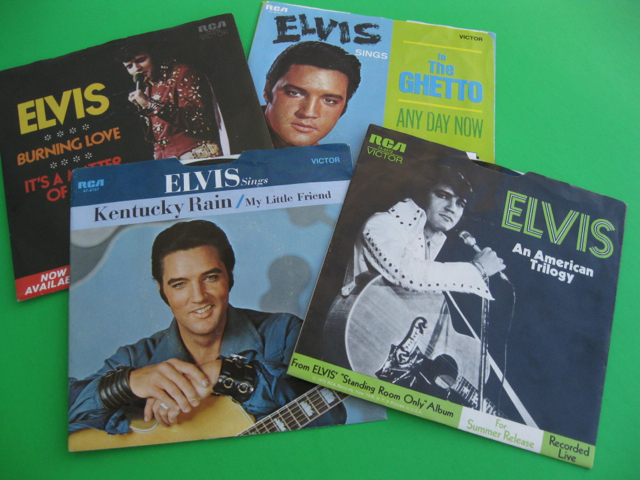 photo by steve newvine