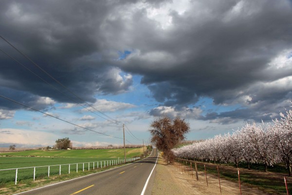  Photo by Adam Blauert 