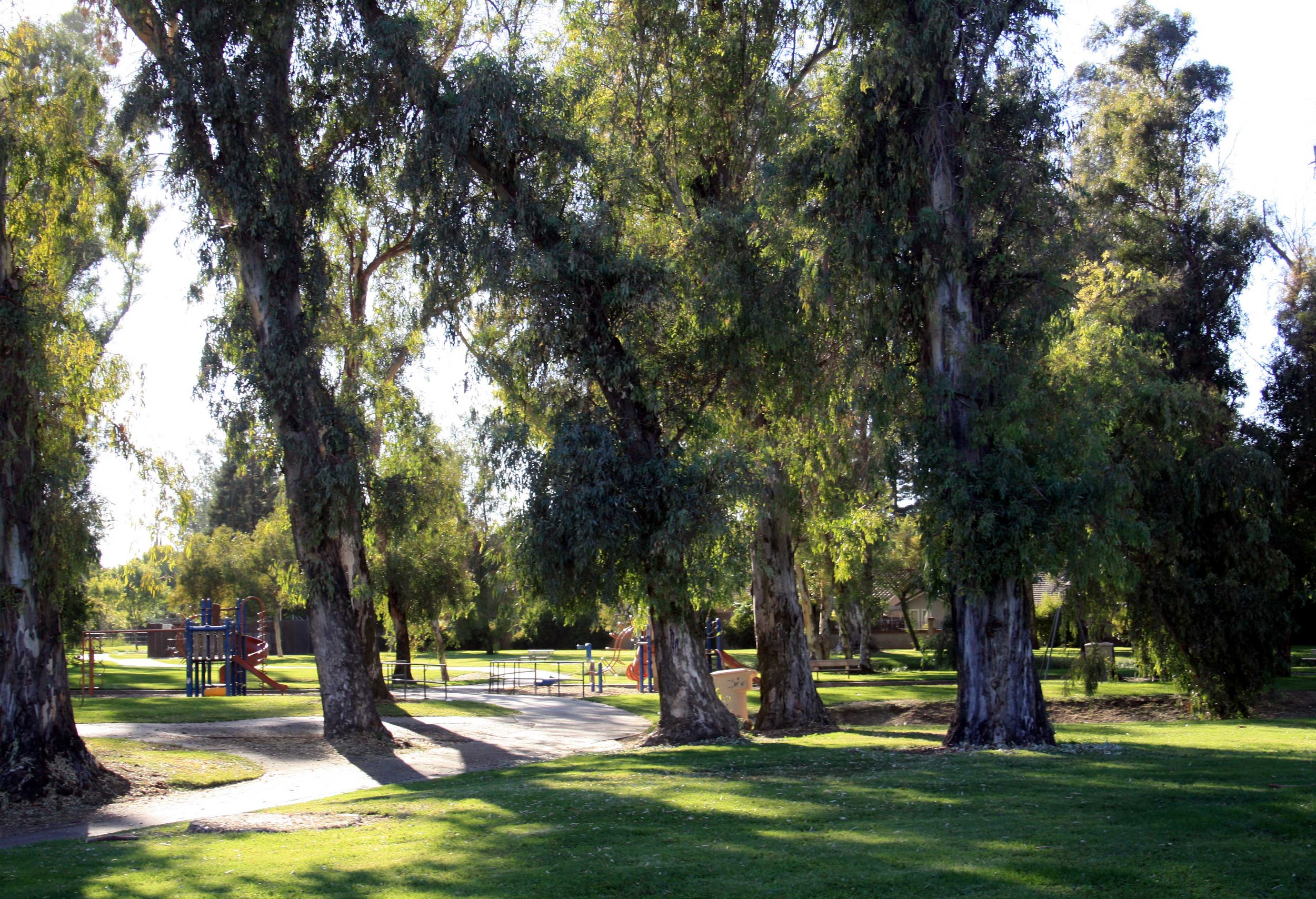 Fahrens Park - PHOTO BY ADAM BLAUERT
