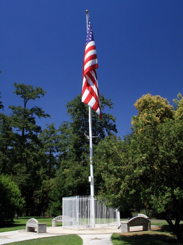  flag in park 