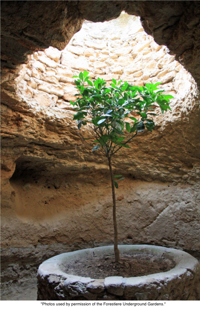 Forestiere Underground Gardens