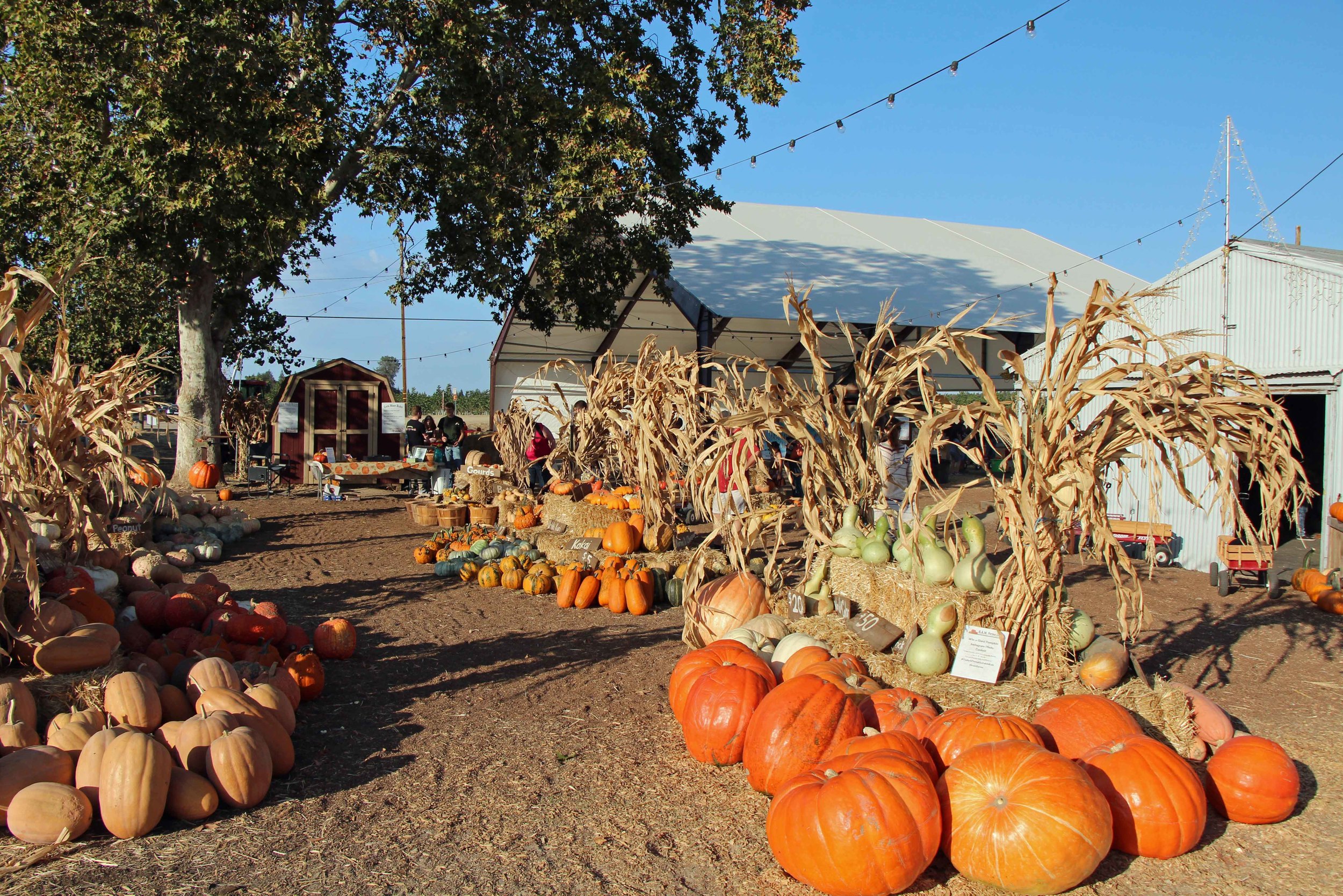 Photo by adam blauert