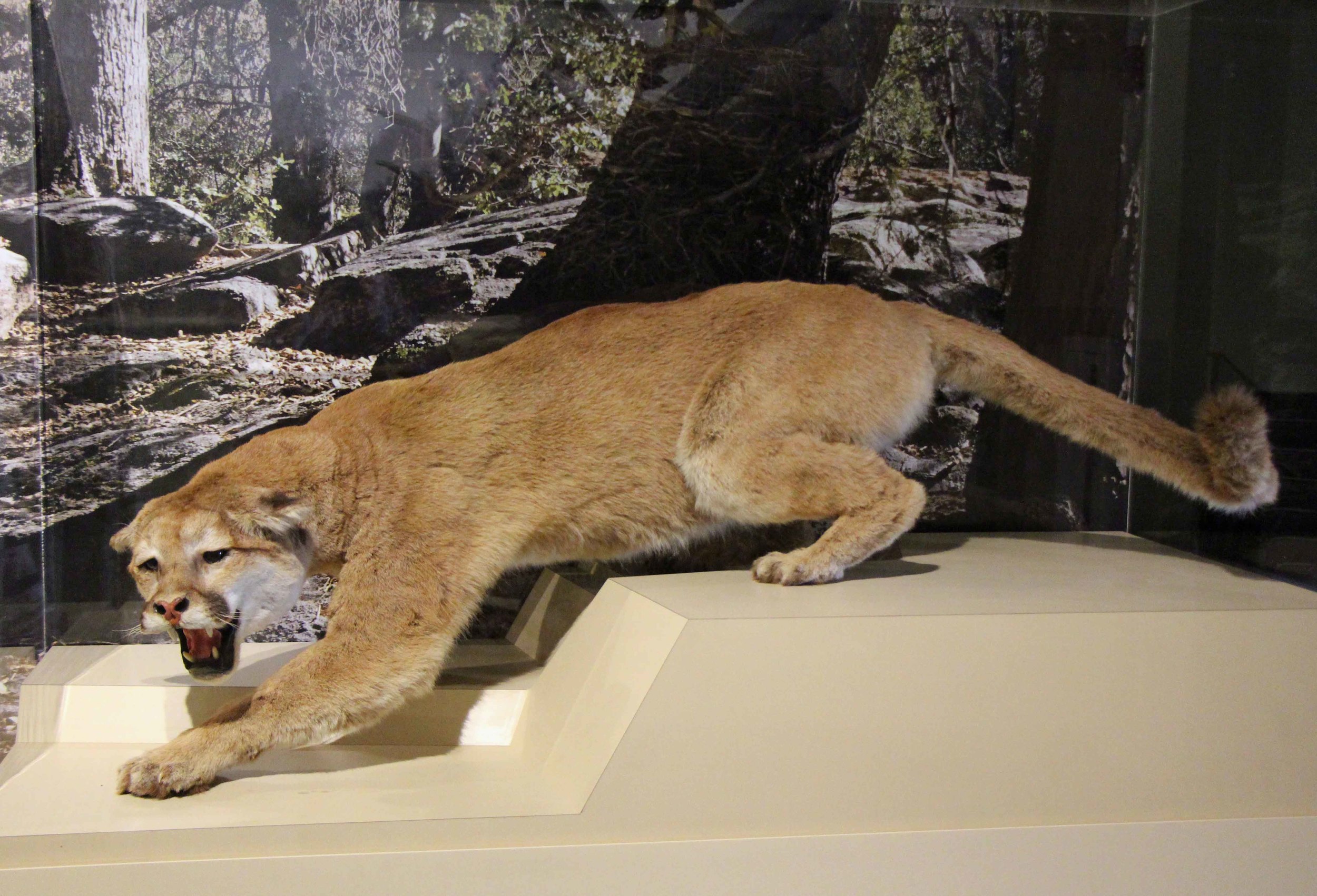  Photo by Adam Blauert 