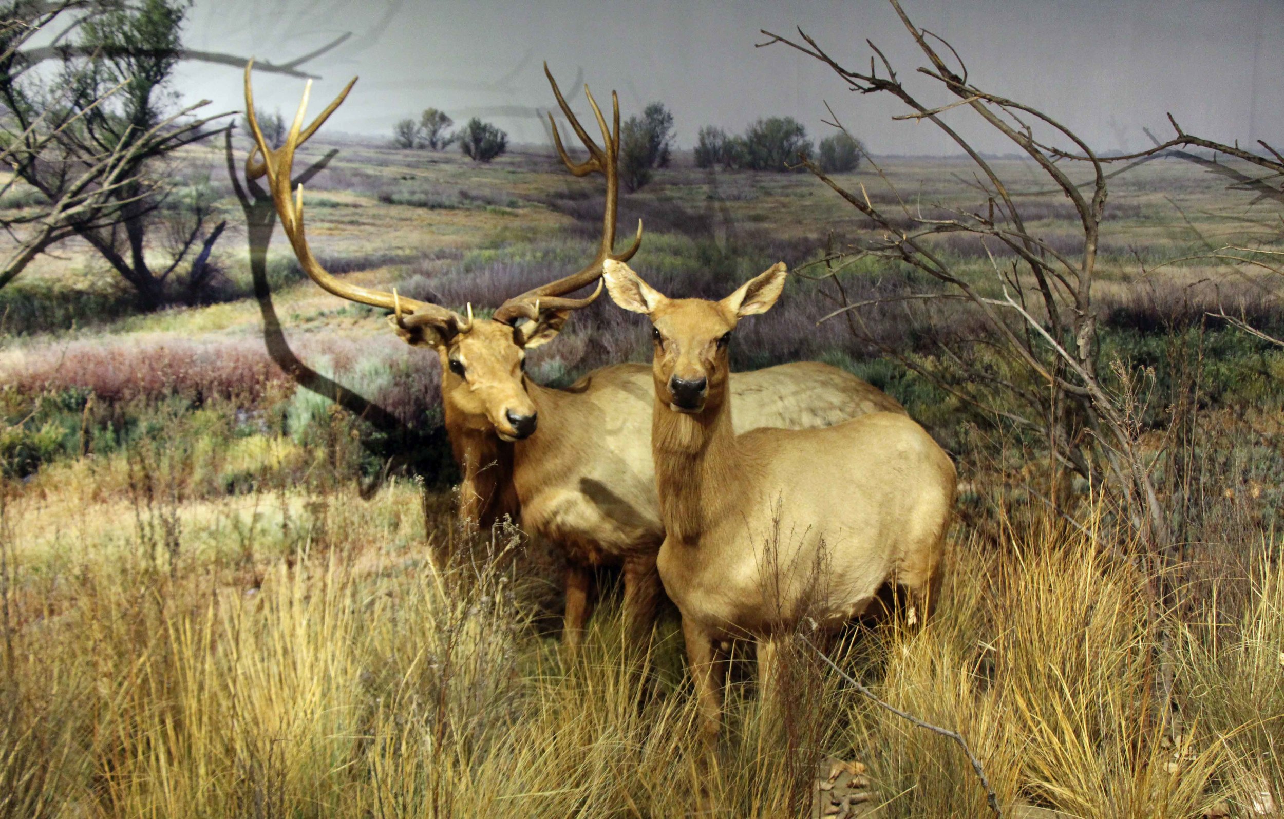  Photo by Adam Blauert 