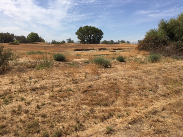  Photo by Steve Newvine 