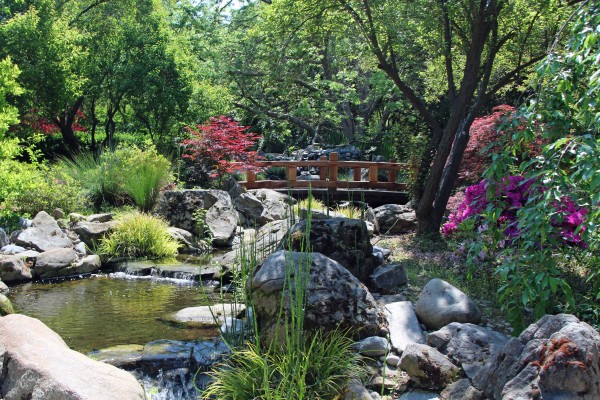 Shinzen Japanese Garden