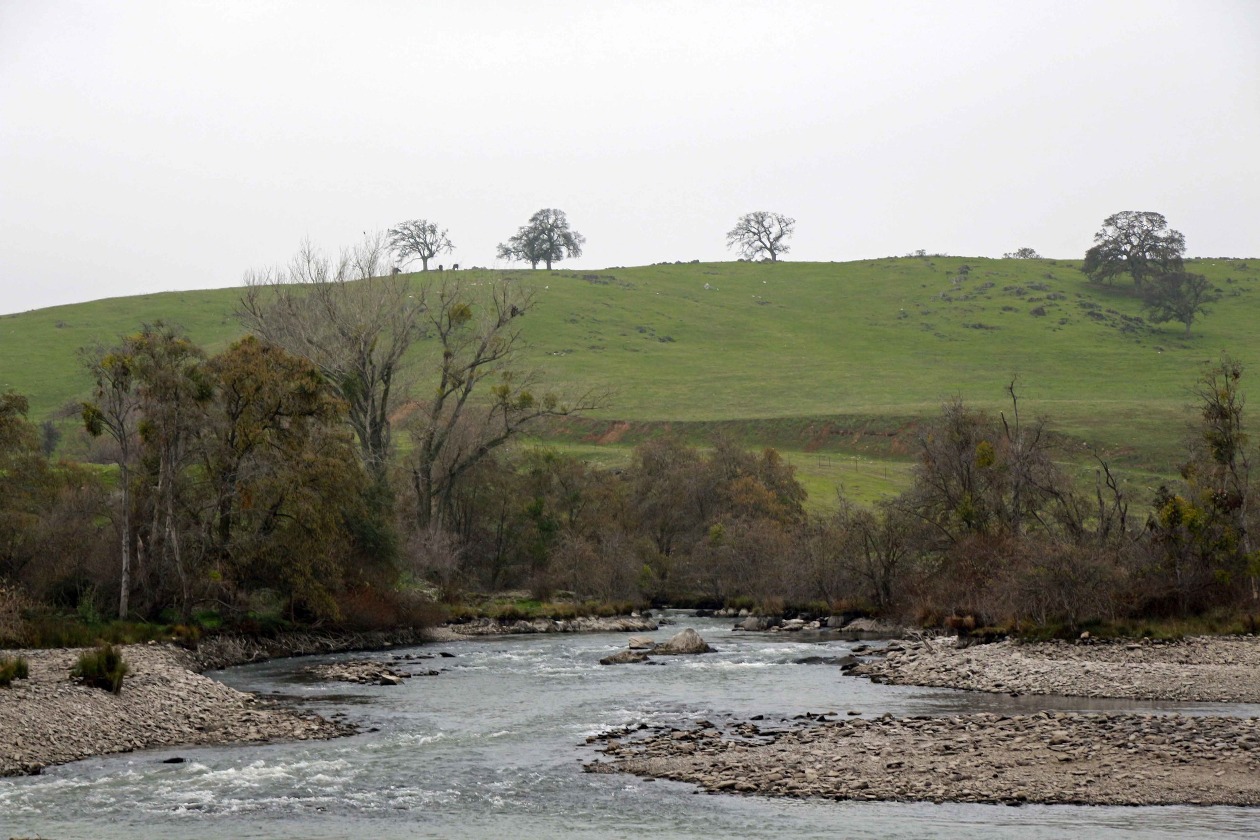 Fishing and Floating the Merced River