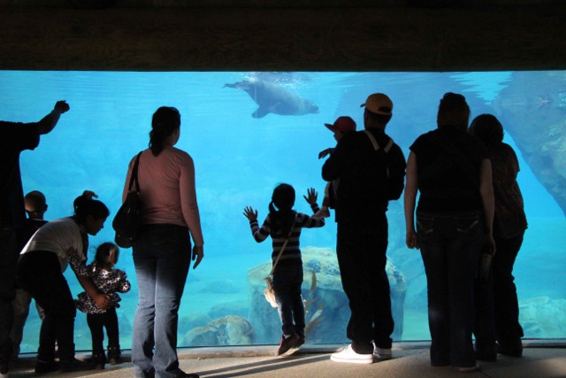 PHOTO BY ADAM BLAUERT