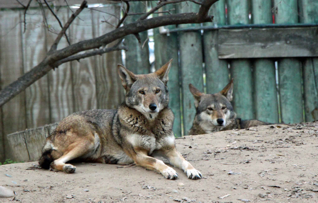 PHOTO BY ADAM BLAUERT