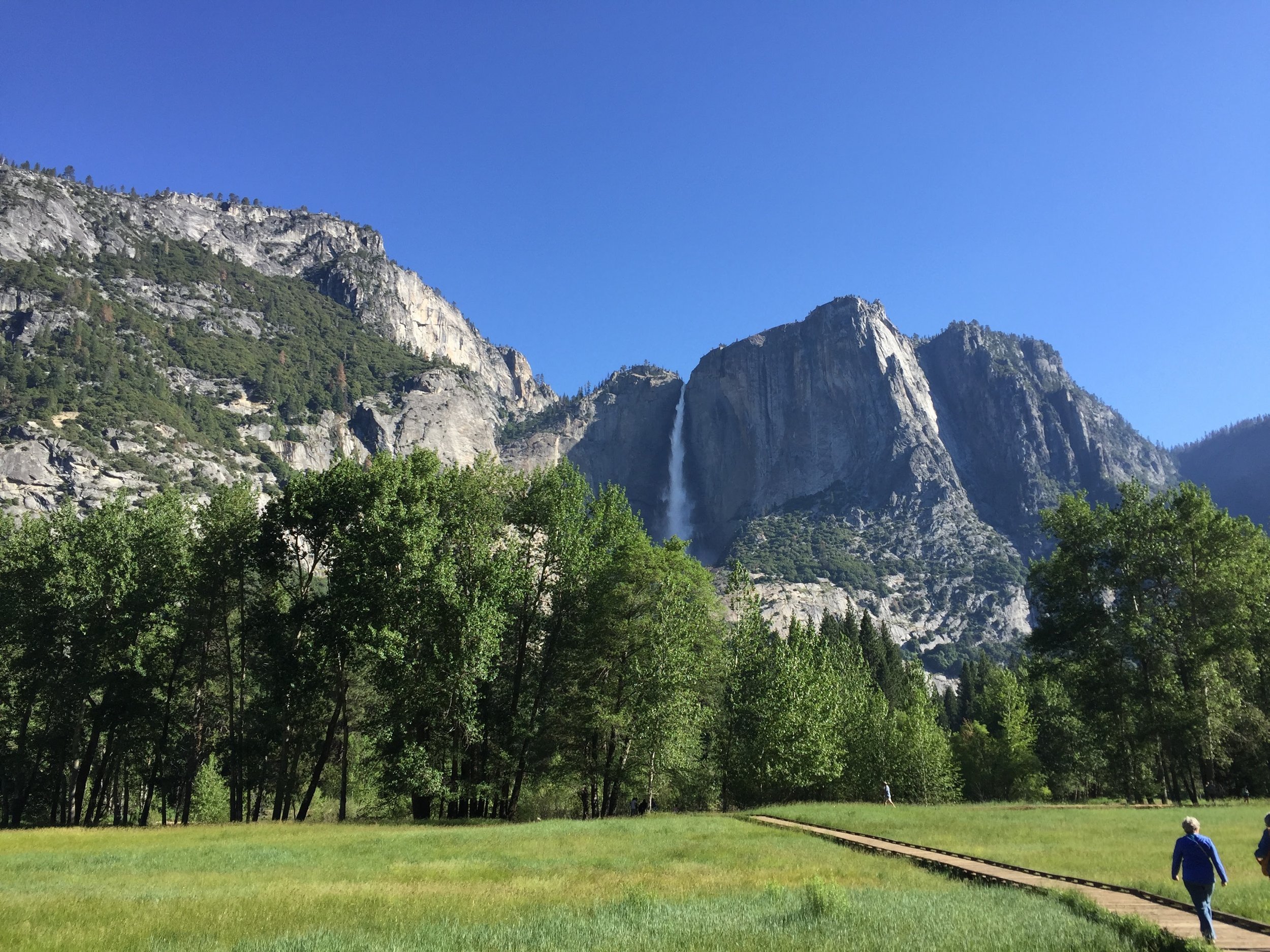  Yosemite Valley in the spring 