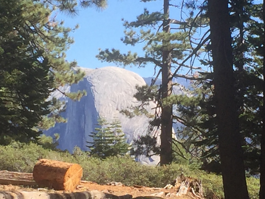  Trail view on the way to Sentinel Dome 