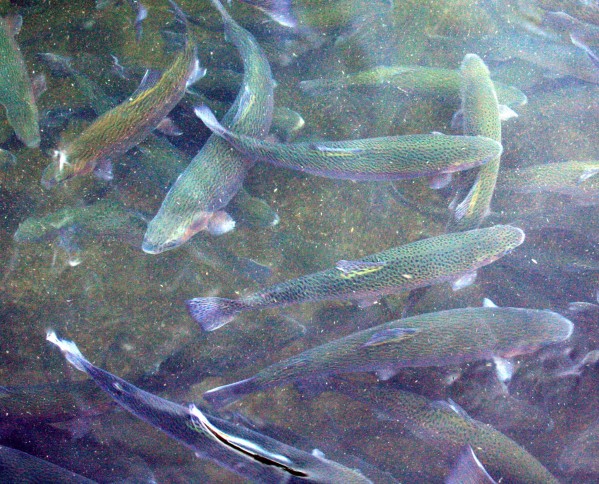 Photo by adam blauert