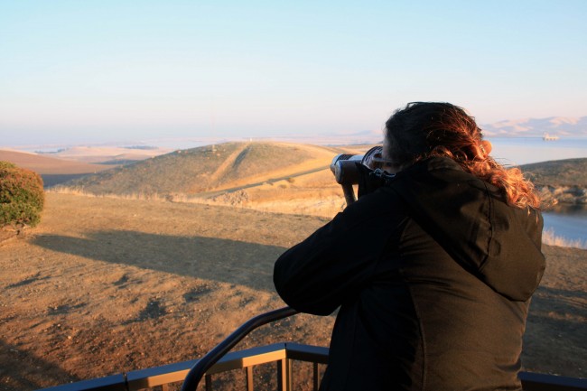 Looking at the elk - PHOTO BY ADAM BLAUERT