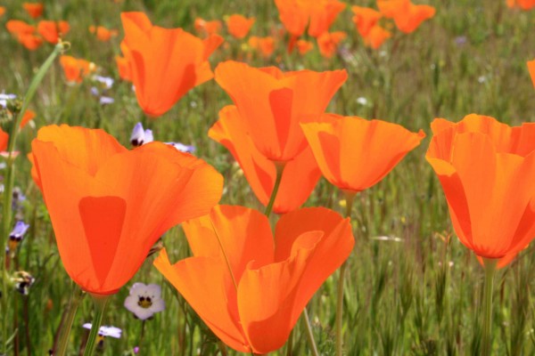  Photo By Adam Blauert 