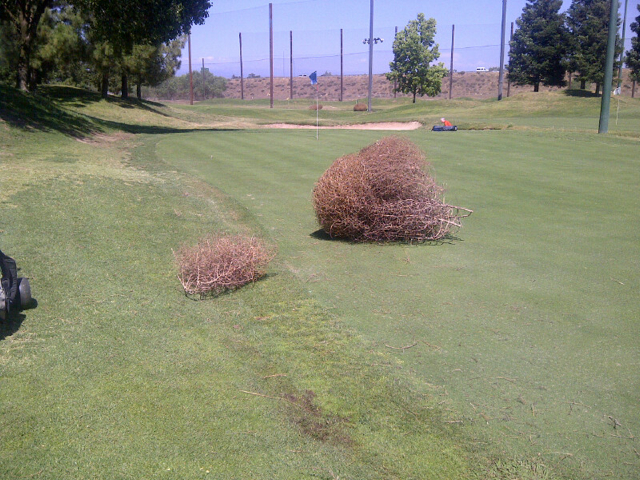 photo by steve newvine