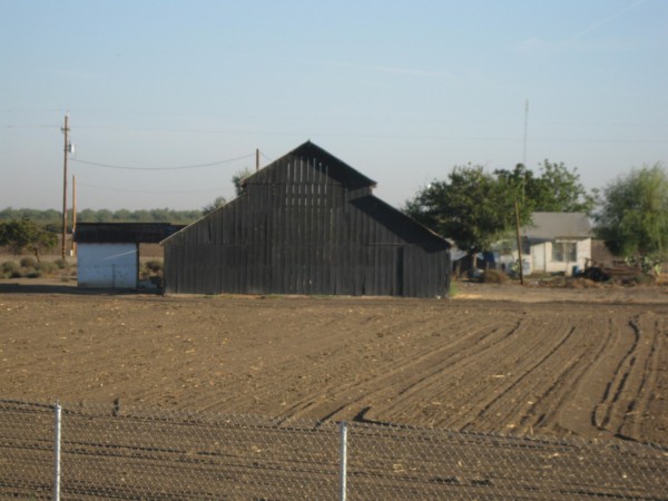 photo credit: Newvine Personal Collection