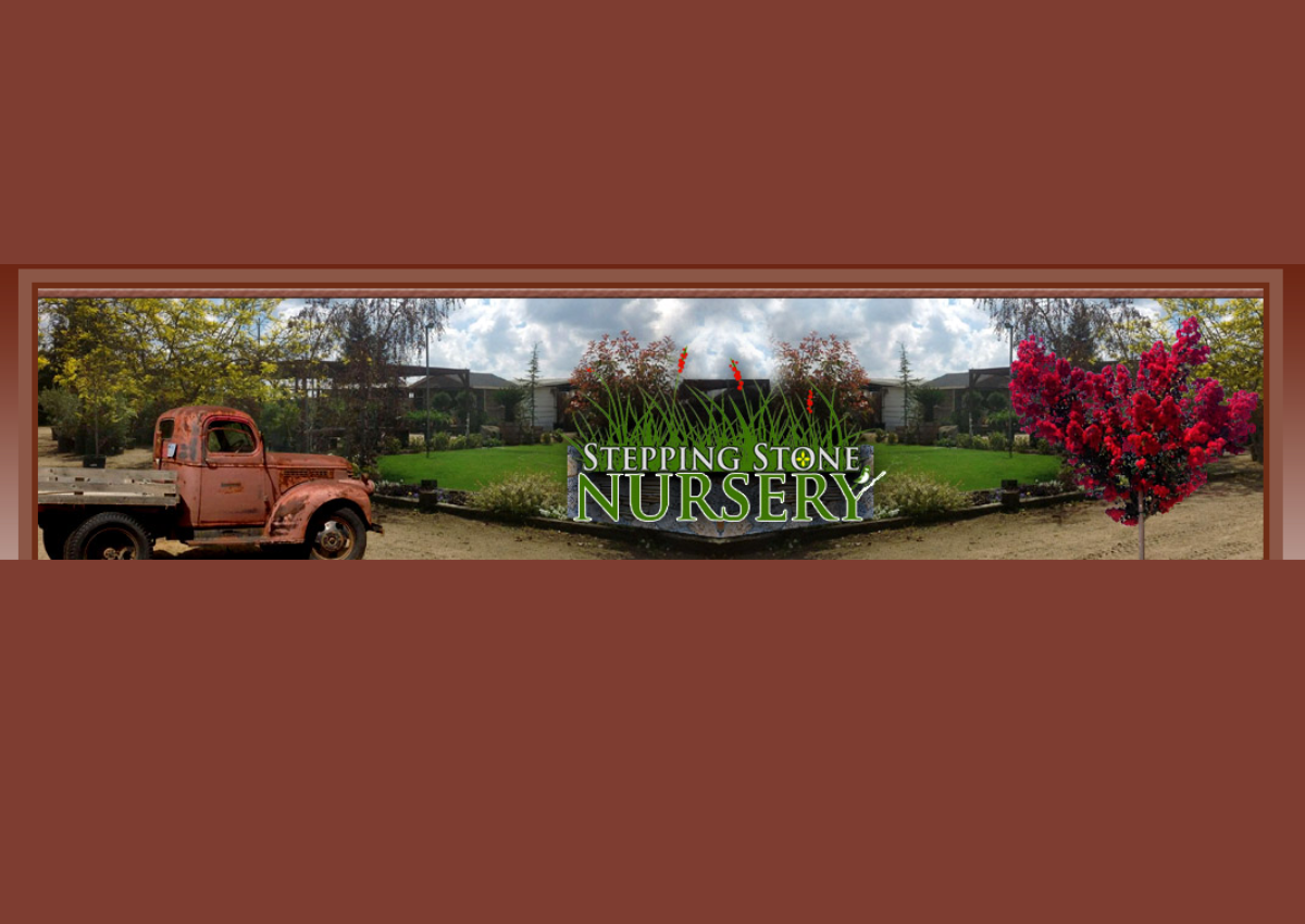 Stepping Stone Nursery