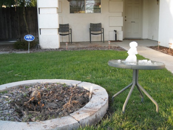 photo by steve newvine