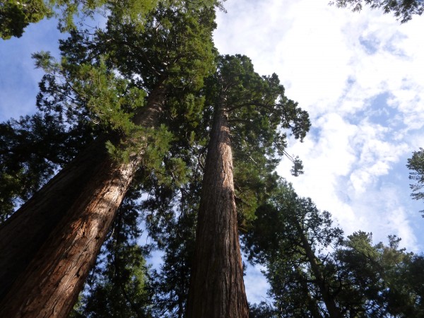 Photo by adam blauert