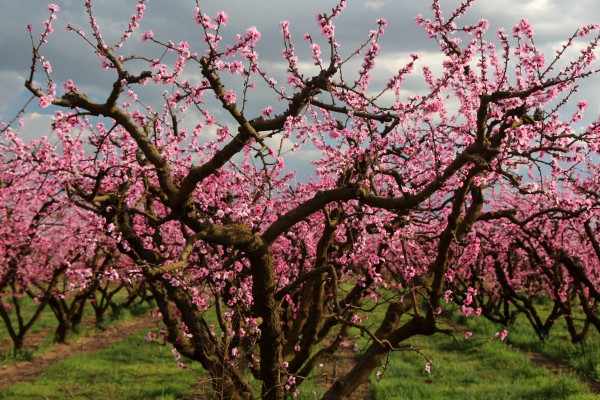  Photo By Adam Blauert 