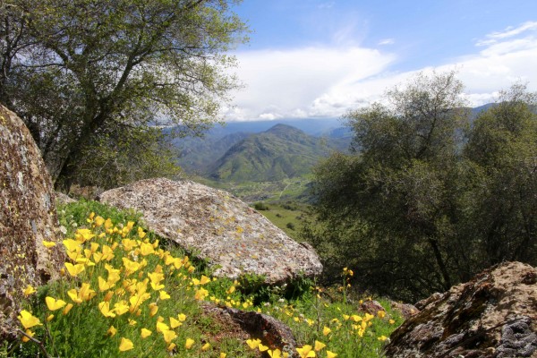  Photo By Adam Blauert 