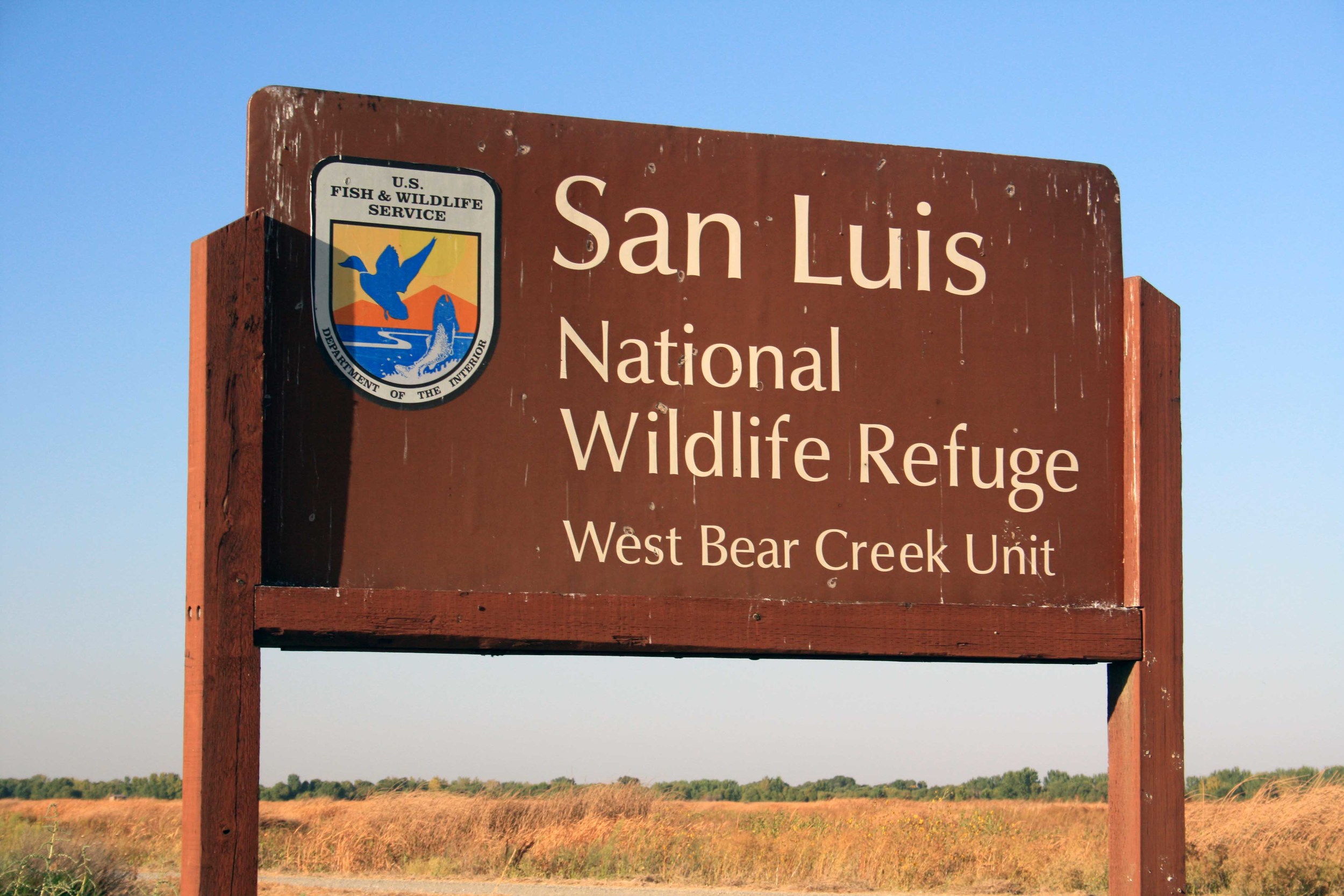 San Luis NWR - PHOTO BY ADAM BLAUERT
