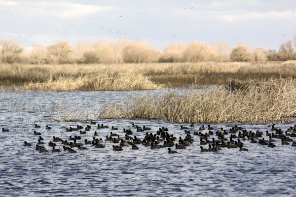  Photo by Adam Blauert 