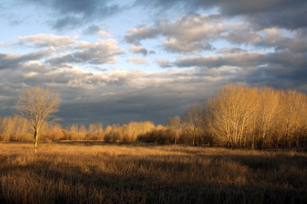 photo by adam blauert