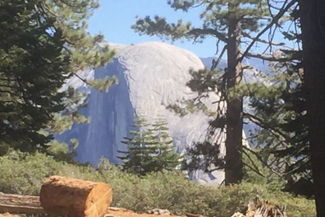 Hiking Sentinel Dome.  Amazing Views And An Easy Hike 