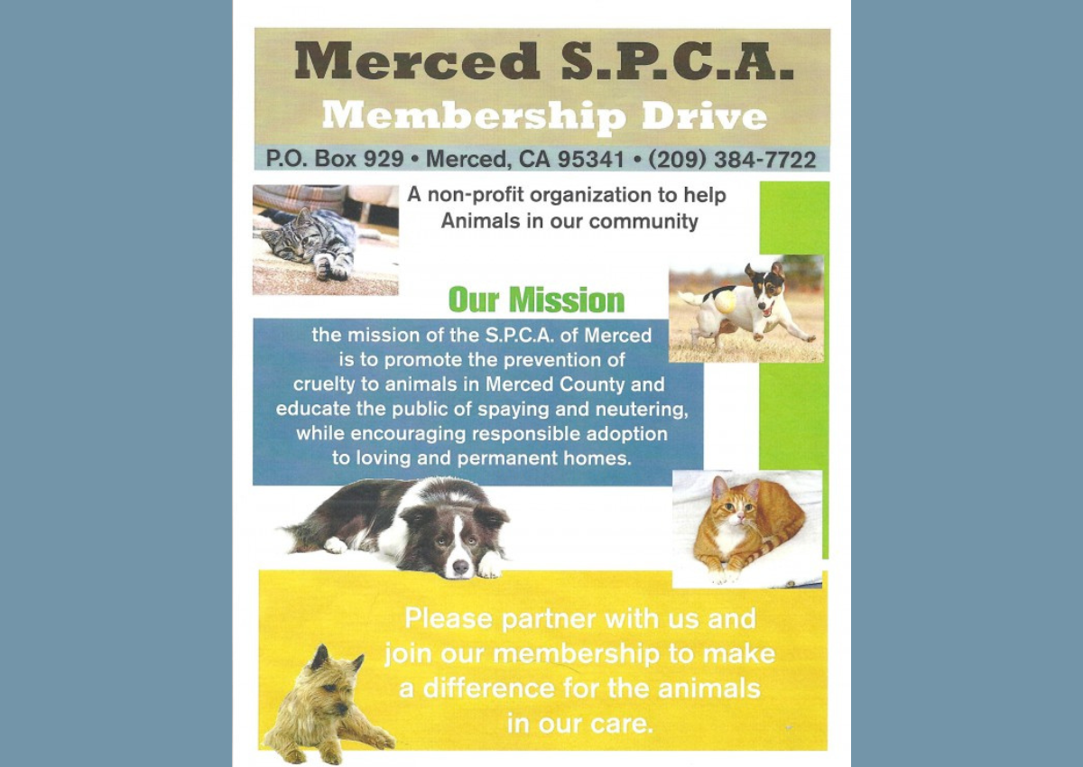 Merced Society for the Prevention of Cruelty to Animals  (SPCA)