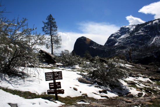 Spring Late Snowmelt Hetch Hetchy Trail - Photo by Adam Blauert