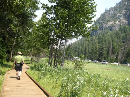  Photo by steve newvine 