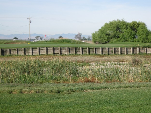 Hole 4 at Stevinson Ranch Golf Club. Photo by Steve Newvine
