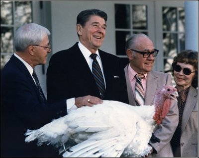  Merwin and Nancy Amerine are believed to be at President Reagan’s left in this photo from the 1983 Turkey Pardoning Ceremony. Merwin served as a pilot in WW II and then built up a successful turkey farm operation following the war. Photo: George H.W. Bush Presidential Library archive. 