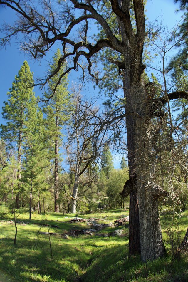 Van der Ahe - PHOTO BY ADAM BLAUERT