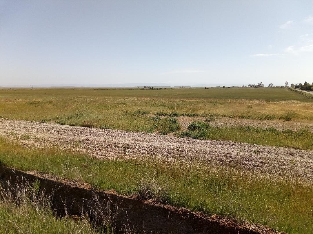 The view where photographer Flip Hassett found Half Dome was obscured by Mother Nature in the days leading up to this column. Photo: Steve Newvine