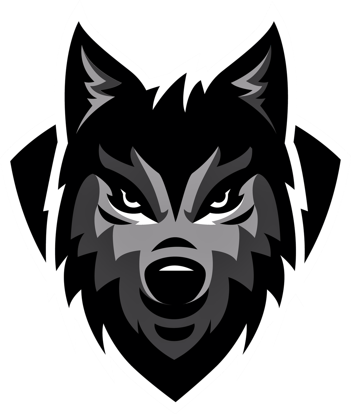 DBEAST CO - A health / fitness lifestyle company