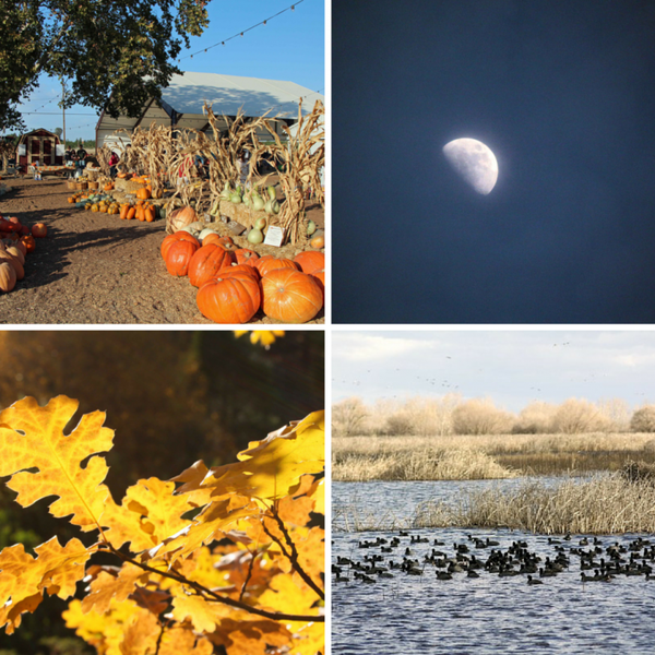 Top 5 things to do in the Fall in and around Merced County