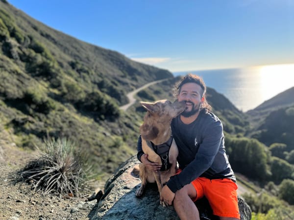 Ancestral Companions LLC