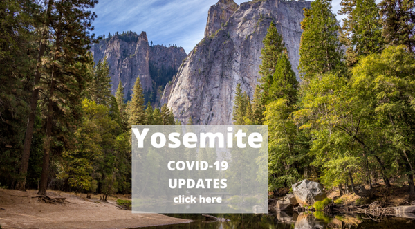 Yosemite and COVID-19 The latest update information